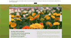 Desktop Screenshot of burespro.com